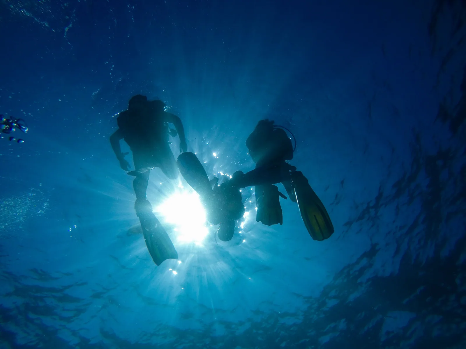 เกาะเต่า: คอร์ส Open Water กับการเจอคนที่ไม่เหมือนใคร